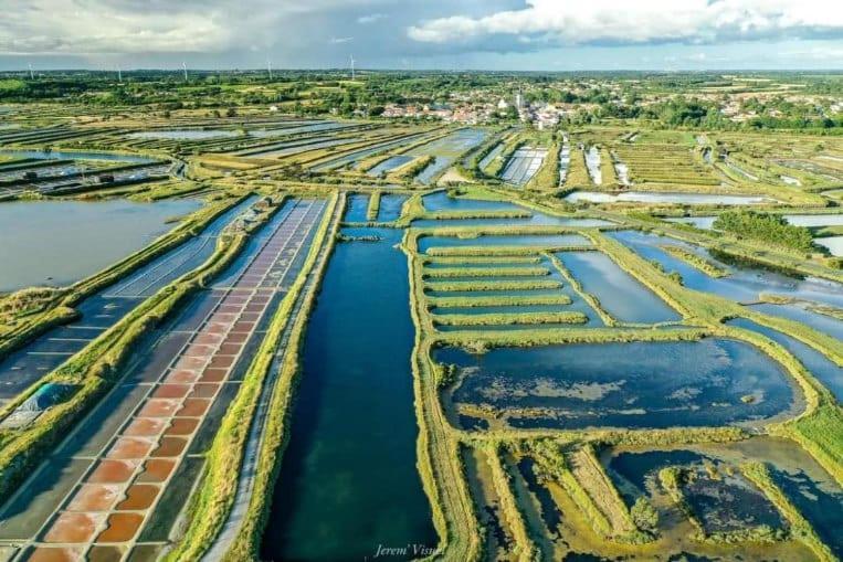 Villa Les Mouettes L'Ile-d'Olonne Esterno foto